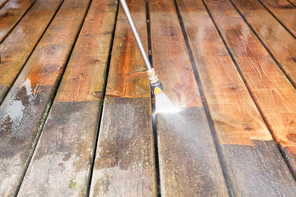 Best Soft Washing for Delicate Surfaces in Kentland, IN